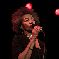 Dateiname=9N1A3839.jpg
Dateigröße=2933KB
Abmessungen: 5760x3840
hinzugefügt am: 29. Dezember 2015 9N1A3839.jpg