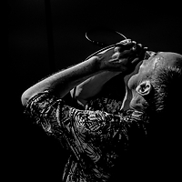 Dateiname=_N1A8691.JPG
Dateigröße=3114KB
Abmessungen: 5760x3840
hinzugefügt am: 22. Juni 2015 _N1A8691.JPG