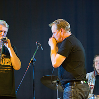 Dateiname=9N1A7151.jpg
Dateigröße=14019KB
Abmessungen: 5760x3840
hinzugefügt am: 07. Juli 2016 9N1A7151.jpg