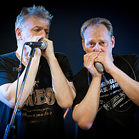 Dateiname=9N1A7186.jpg
Dateigröße=9349KB
Abmessungen: 5760x3840
hinzugefügt am: 07. Juli 2016 9N1A7186.jpg